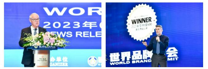 权威认证 BSport体育官网入选中国500最具价值品牌