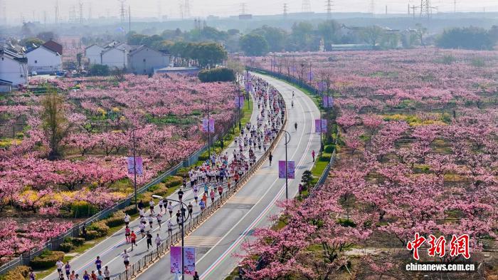 无锡阳山桃花盛开迎5000跑者 10公里精英赛绽放春